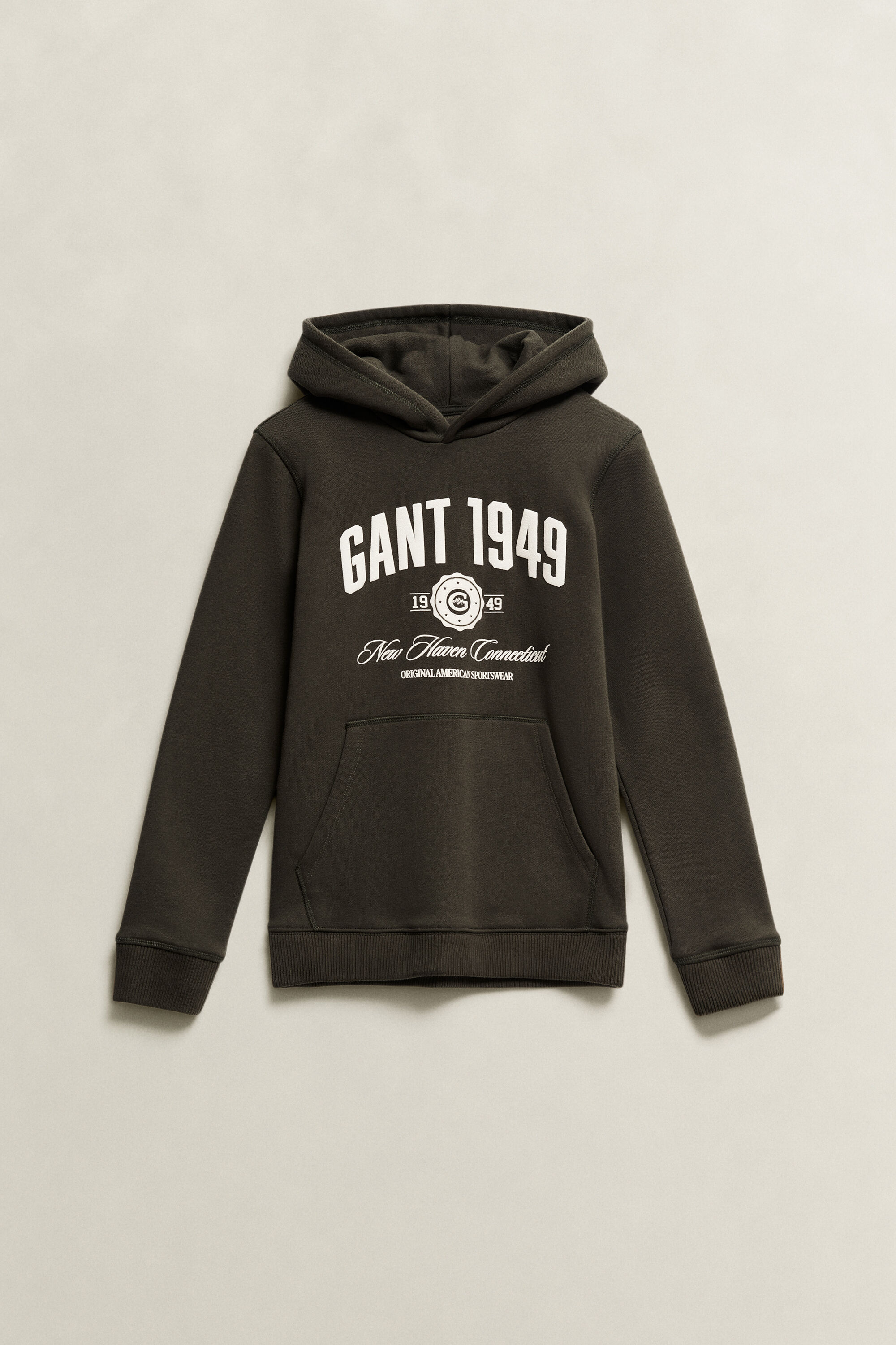 Teen Boys Collegiate Hoodie