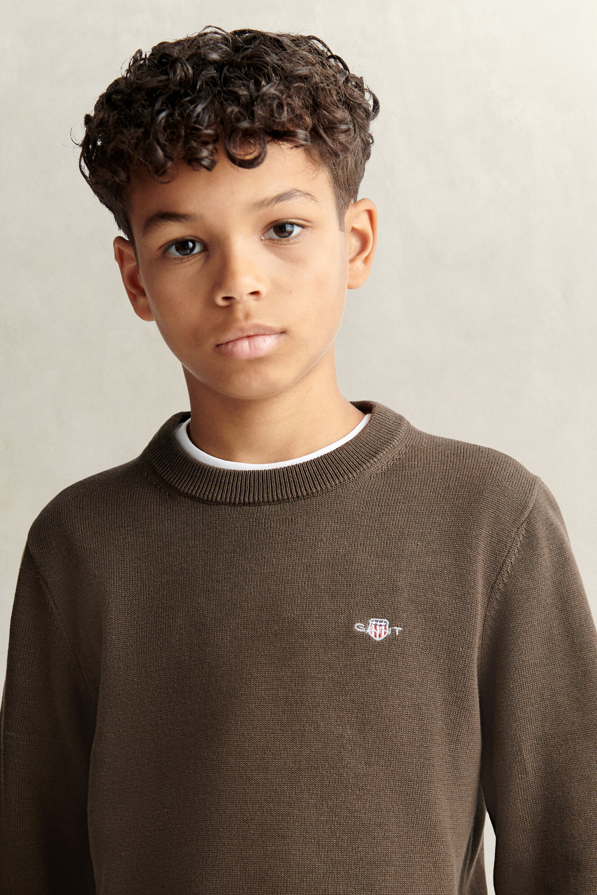 Teen Boys Shield Pullover