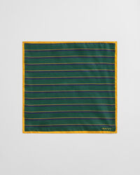 Gestreiftes Einstecktuch