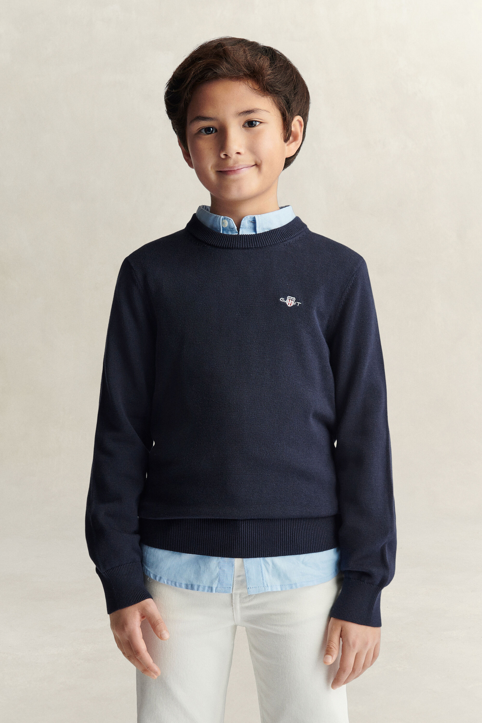 Teen Boys Shield Pullover