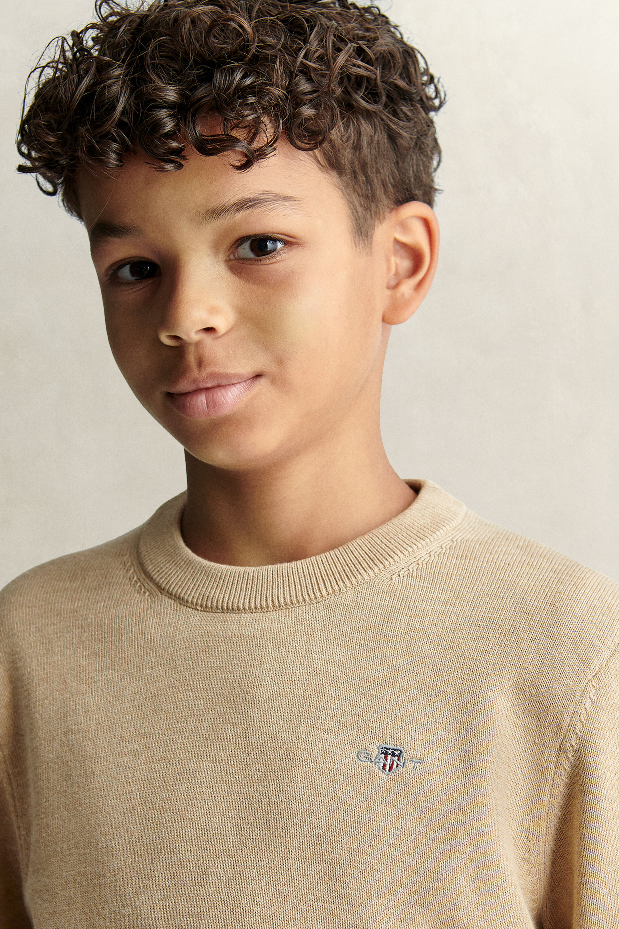 Teen Boys Shield Pullover