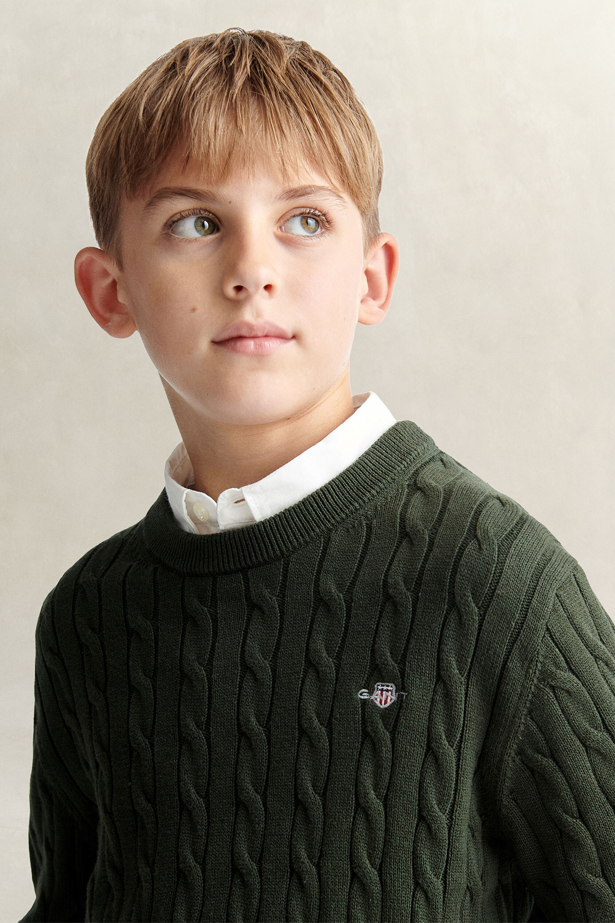 Teen Boys Shield Pullover