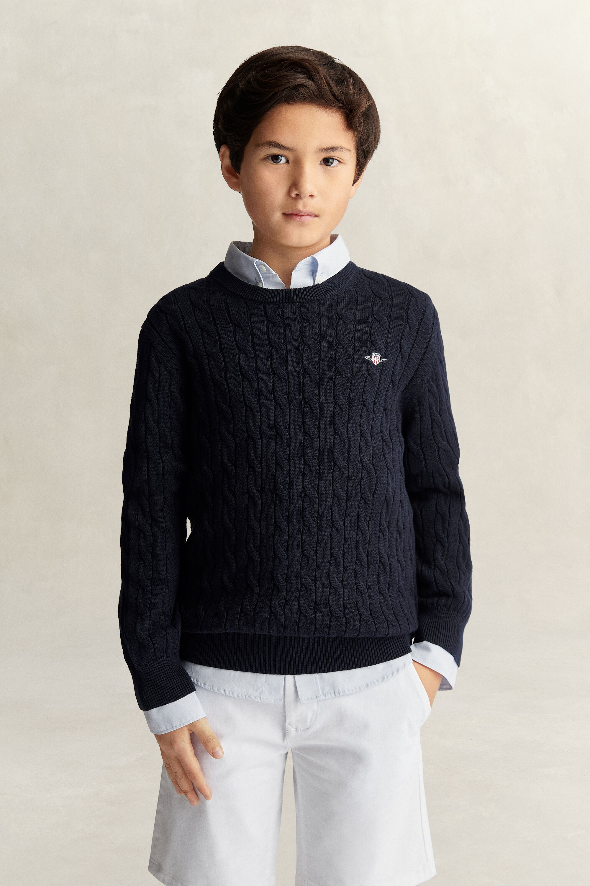 Teen Boys Shield Pullover